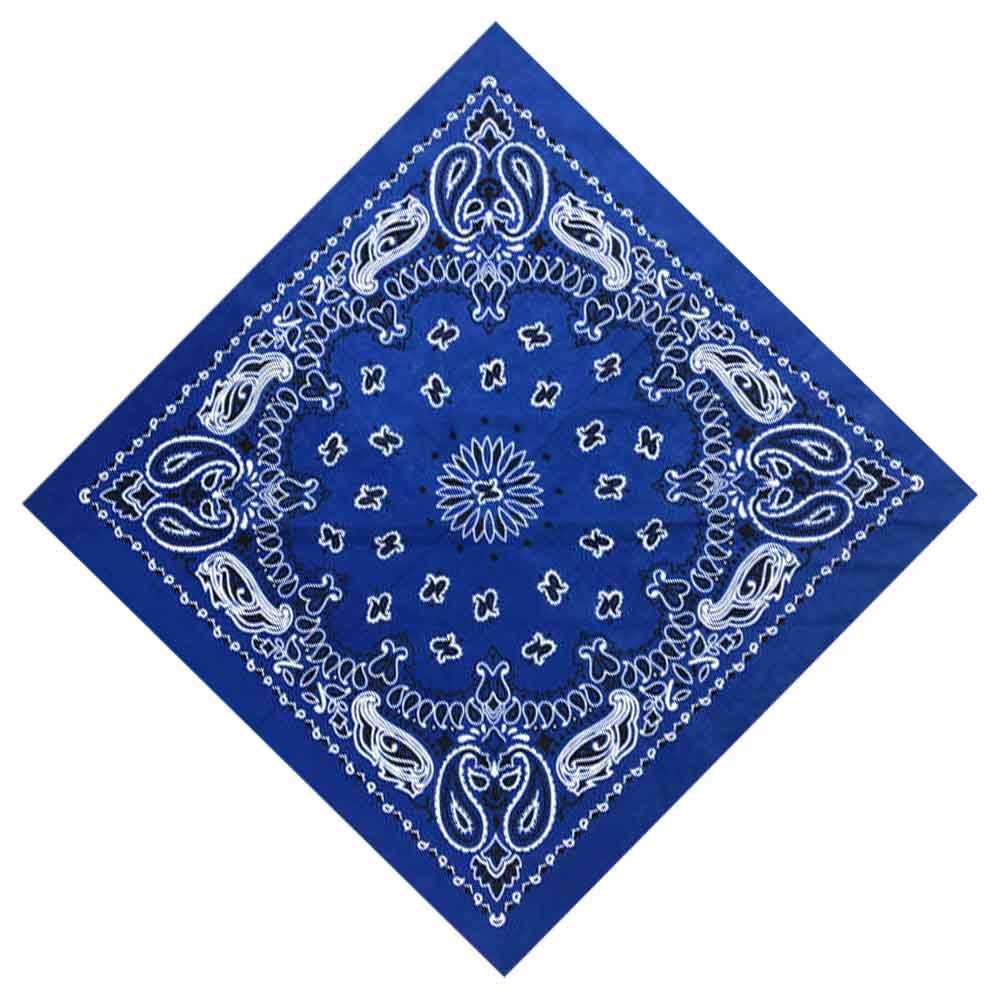 Herren Baumwoll-Paisley-Hip-Ho – Handkerchief Cotton Men Bewertung und Preis
